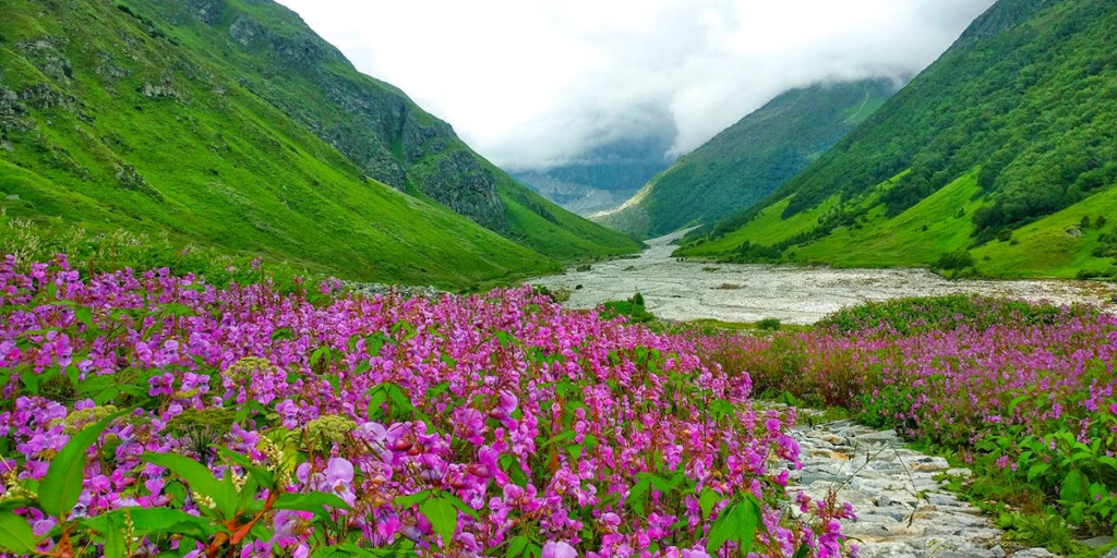 uttarakhand best places hill stations, Valley of Flowers.